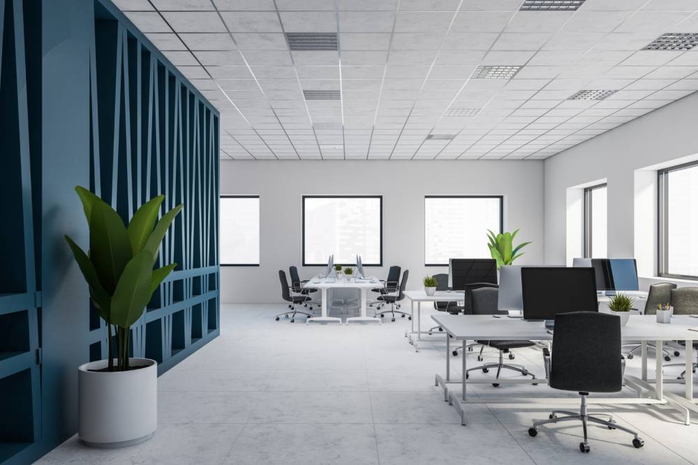 Expertise bureau à Vallauris